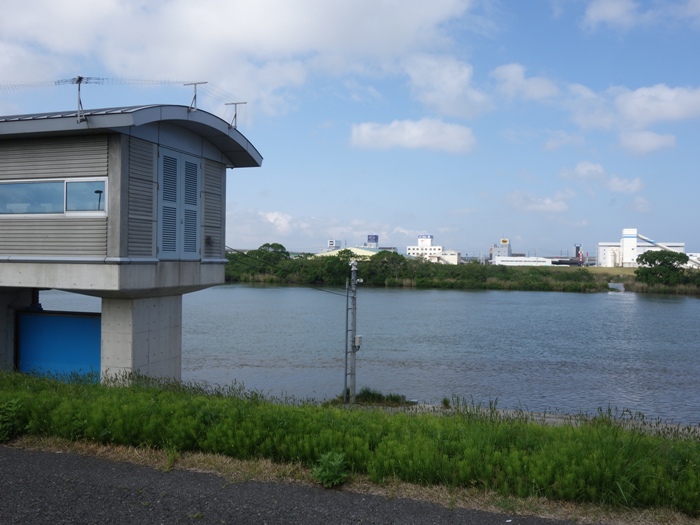 親松排水機場の土手から信濃川対岸を見る