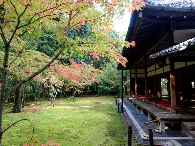 大徳寺高桐院　楓の庭