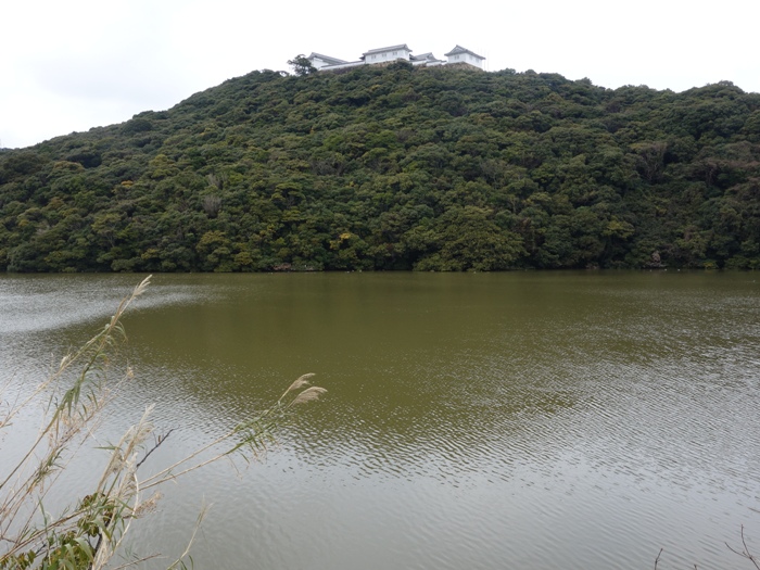 ため池から見あげる富岡城